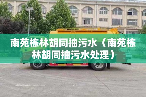 南苑栋林胡同抽污水（南苑栋林胡同抽污水处理）