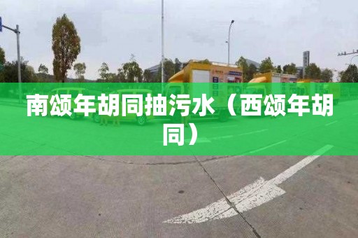 南颂年胡同抽污水（西颂年胡同）