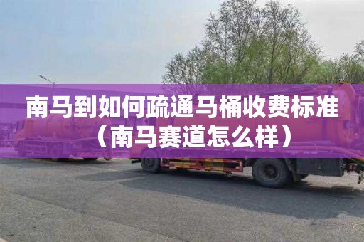 南马到如何疏通马桶收费标准（南马赛道怎么样）