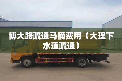 博大路疏通马桶费用（大理下水道疏通）