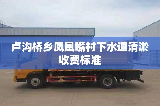 卢沟桥乡凤凰嘴村下水道清淤收费标准