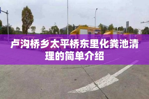 卢沟桥乡太平桥东里化粪池清理的简单介绍