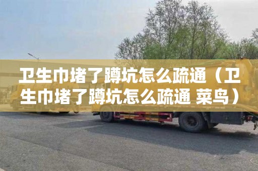 卫生巾堵了蹲坑怎么疏通（卫生巾堵了蹲坑怎么疏通 菜鸟）