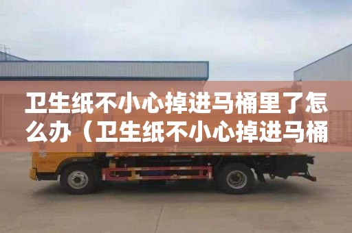 卫生纸不小心掉进马桶里了怎么办（卫生纸不小心掉进马桶里了怎么办呢）