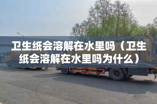 卫生纸会溶解在水里吗（卫生纸会溶解在水里吗为什么）