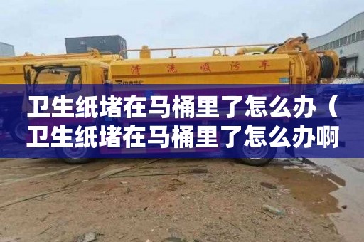 卫生纸堵在马桶里了怎么办（卫生纸堵在马桶里了怎么办啊）