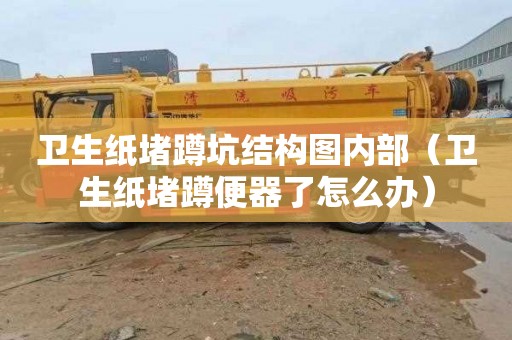 卫生纸堵蹲坑结构图内部（卫生纸堵蹲便器了怎么办）