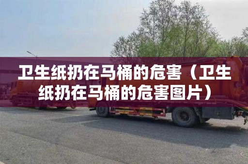 卫生纸扔在马桶的危害（卫生纸扔在马桶的危害图片）