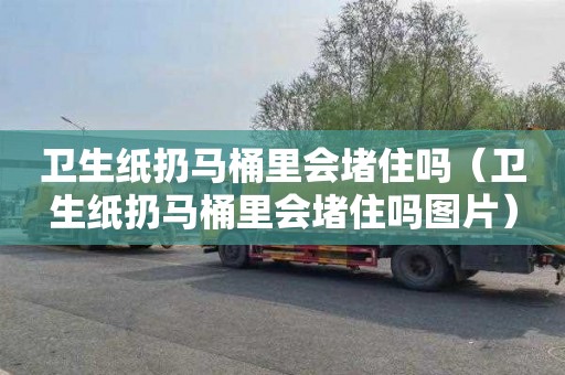 卫生纸扔马桶里会堵住吗（卫生纸扔马桶里会堵住吗图片）