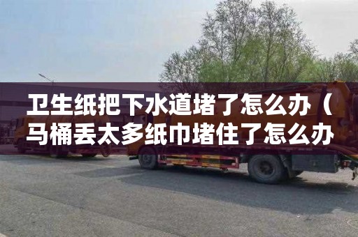 卫生纸把下水道堵了怎么办（马桶丢太多纸巾堵住了怎么办）