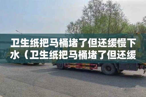 卫生纸把马桶堵了但还缓慢下水（卫生纸把马桶堵了但还缓慢下水怎么才能疏通）