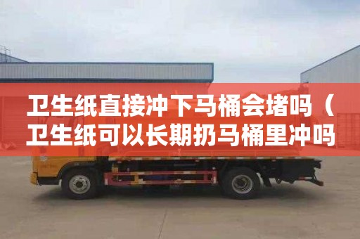 卫生纸直接冲下马桶会堵吗（卫生纸可以长期扔马桶里冲吗）