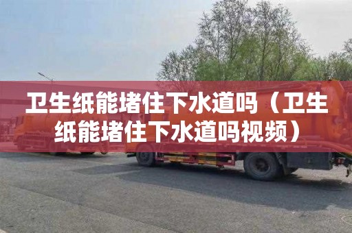卫生纸能堵住下水道吗（卫生纸能堵住下水道吗视频）