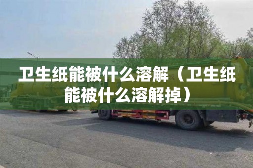卫生纸能被什么溶解（卫生纸能被什么溶解掉）