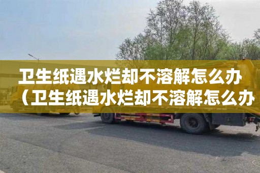 卫生纸遇水烂却不溶解怎么办（卫生纸遇水烂却不溶解怎么办呢）
