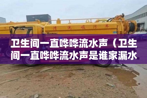 卫生间一直哗哗流水声（卫生间一直哗哗流水声是谁家漏水）