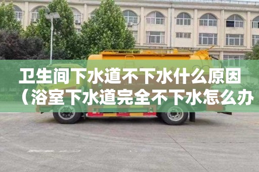 卫生间下水道不下水什么原因（浴室下水道完全不下水怎么办）
