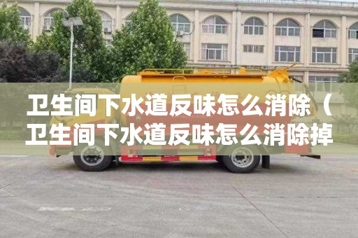 卫生间下水道反味怎么消除（卫生间下水道反味怎么消除掉）
