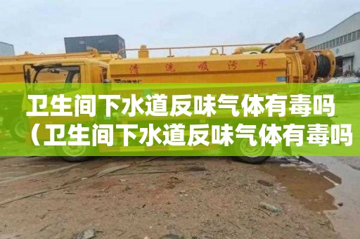卫生间下水道反味气体有毒吗（卫生间下水道反味气体有毒吗视频）