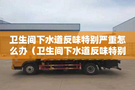 卫生间下水道反味特别严重怎么办（卫生间下水道反味特别严重怎么办呢）