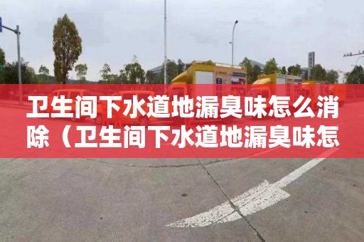 卫生间下水道地漏臭味怎么消除（卫生间下水道地漏臭味怎么消除掉）