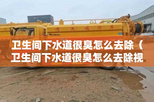 卫生间下水道很臭怎么去除（卫生间下水道很臭怎么去除视频）