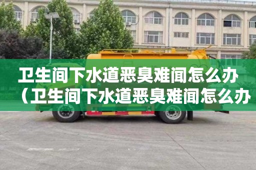 卫生间下水道恶臭难闻怎么办（卫生间下水道恶臭难闻怎么办呢）