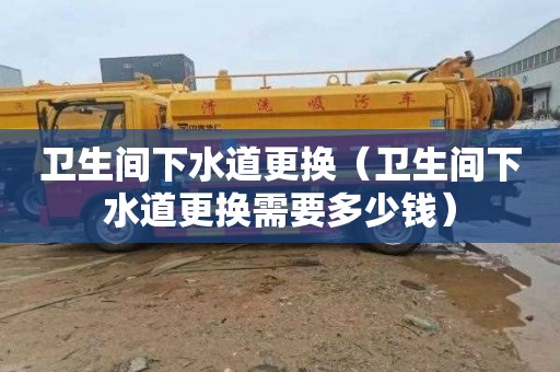 卫生间下水道更换（卫生间下水道更换需要多少钱）