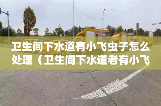 卫生间下水道有小飞虫子怎么处理（卫生间下水道老有小飞虫怎么办?）