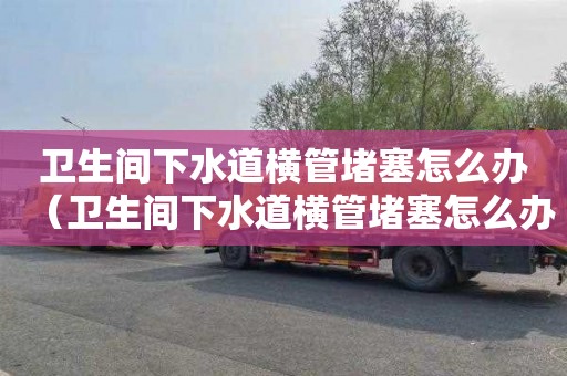 卫生间下水道横管堵塞怎么办（卫生间下水道横管堵塞怎么办视频）