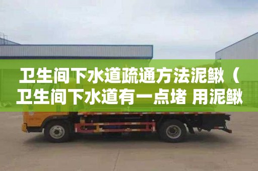 卫生间下水道疏通方法泥鳅（卫生间下水道有一点堵 用泥鳅可以吗）