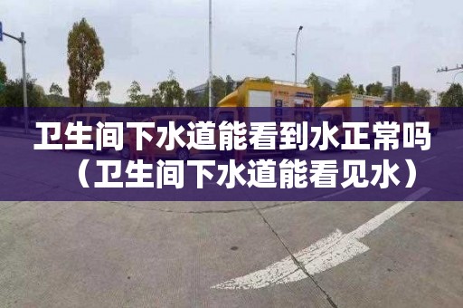 卫生间下水道能看到水正常吗（卫生间下水道能看见水）