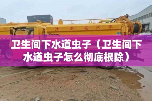 卫生间下水道虫子（卫生间下水道虫子怎么彻底根除）