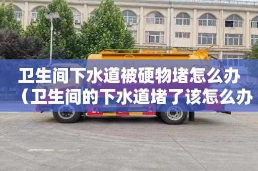 卫生间下水道被硬物堵怎么办（卫生间的下水道堵了该怎么办）