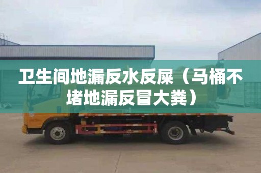 卫生间地漏反水反屎（马桶不堵地漏反冒大粪）