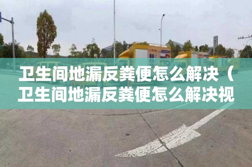 卫生间地漏反粪便怎么解决（卫生间地漏反粪便怎么解决视频）