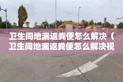 卫生间地漏返粪便怎么解决（卫生间地漏返粪便怎么解决视频）