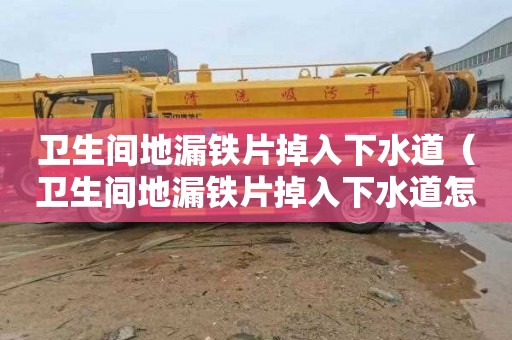 卫生间地漏铁片掉入下水道（卫生间地漏铁片掉入下水道怎么办）