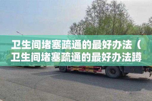 卫生间堵塞疏通的最好办法（卫生间堵塞疏通的最好办法蹲坑）