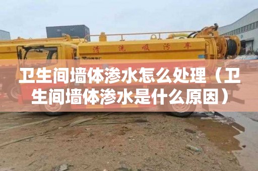 卫生间墙体渗水怎么处理（卫生间墙体渗水是什么原因）
