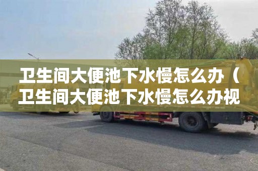 卫生间大便池下水慢怎么办（卫生间大便池下水慢怎么办视频）