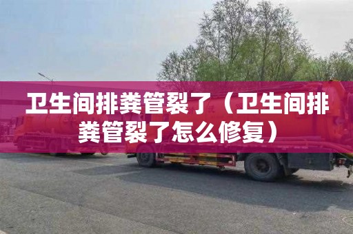 卫生间排粪管裂了（卫生间排粪管裂了怎么修复）