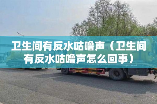 卫生间有反水咕噜声（卫生间有反水咕噜声怎么回事）
