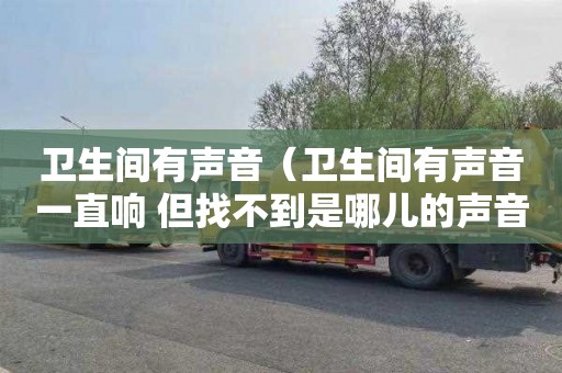 卫生间有声音（卫生间有声音一直响 但找不到是哪儿的声音）