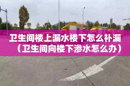 卫生间楼上漏水楼下怎么补漏（卫生间向楼下渗水怎么办）