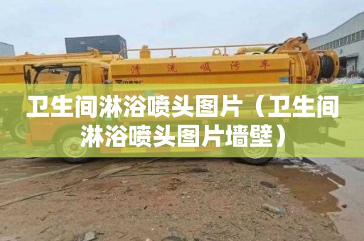 卫生间淋浴喷头图片（卫生间淋浴喷头图片墙壁）