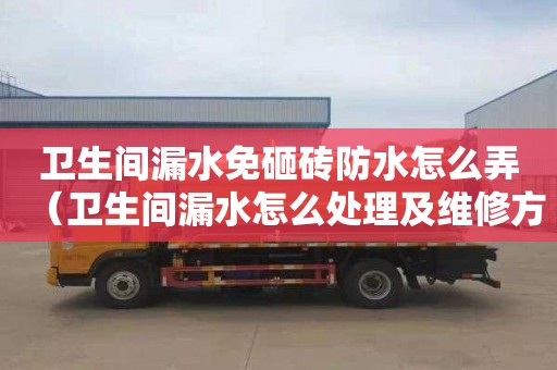 卫生间漏水免砸砖防水怎么弄（卫生间漏水怎么处理及维修方法）