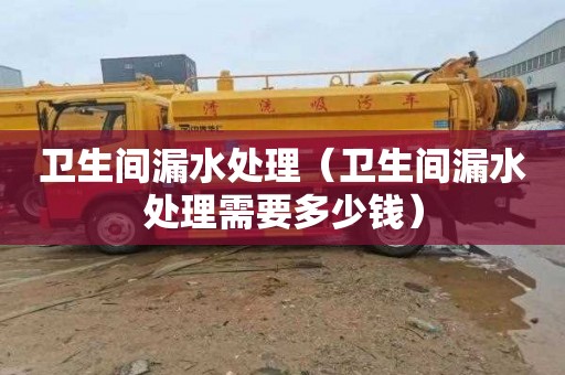 卫生间漏水处理（卫生间漏水处理需要多少钱）