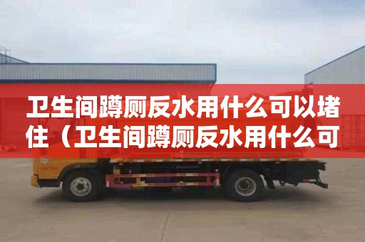 卫生间蹲厕反水用什么可以堵住（卫生间蹲厕反水用什么可以堵住呢）