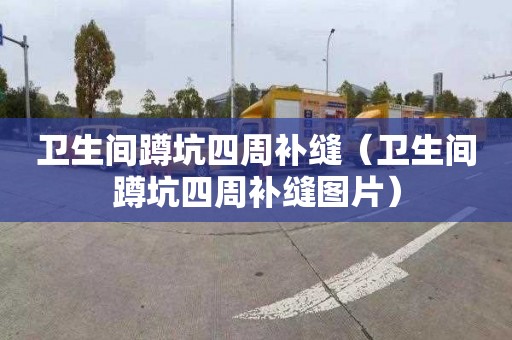 卫生间蹲坑四周补缝（卫生间蹲坑四周补缝图片）